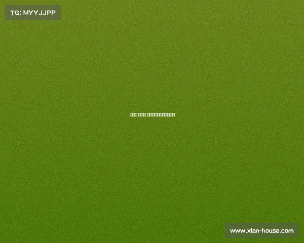 葡萄牙 西班牙 赛事—葡萄牙西班牙比赛